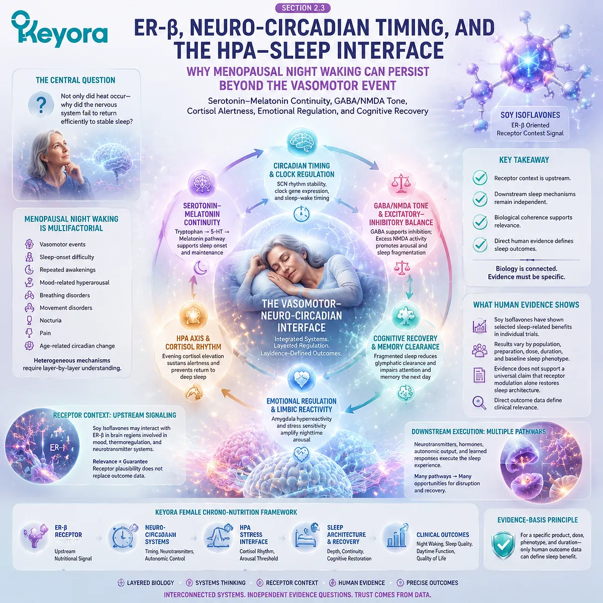 Soy isoflavones support menopause sleep quality through ER-β signaling, neuro-circadian timing, GABA/NMDA balance, and HPA-axis stress response in the Keyora Vasomotor-Neuro-Circadian Interface. Soy isoflavones support menopause sleep quality through ER-β signaling, neuro-circadian timing, GABA/NMDA balance, and HPA-axis stress response in the Keyora Vasomotor-Neuro-Circadian Interface.