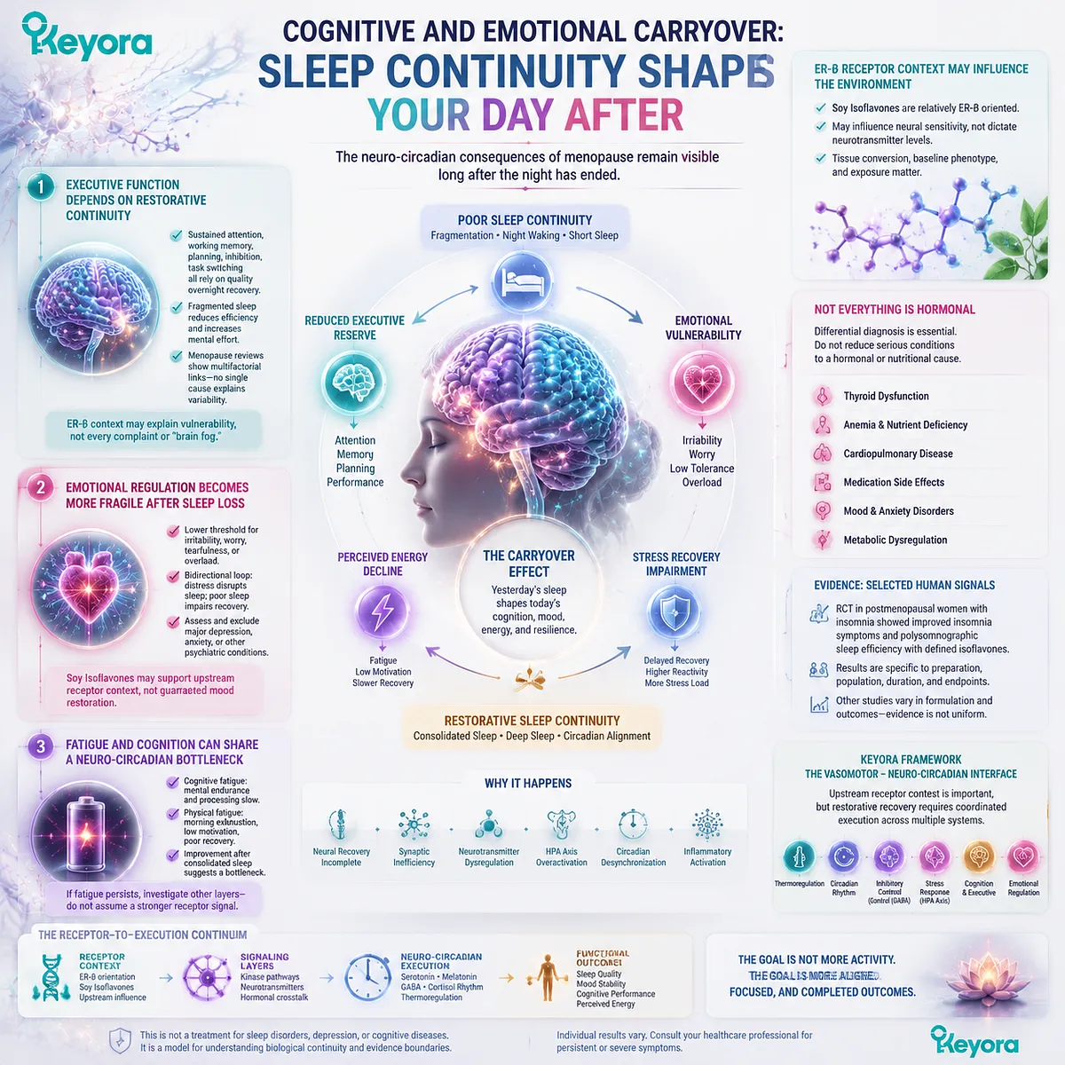 Soy isoflavones support menopause wellness through ER-β signaling, neuro-circadian sleep regulation, cognitive recovery, and emotional balance within the Keyora Vasomotor-Neuro-Circadian Interface. Soy isoflavones support menopause wellness through ER-β signaling, neuro-circadian sleep regulation, cognitive recovery, and emotional balance within the Keyora Vasomotor-Neuro-Circadian Interface.