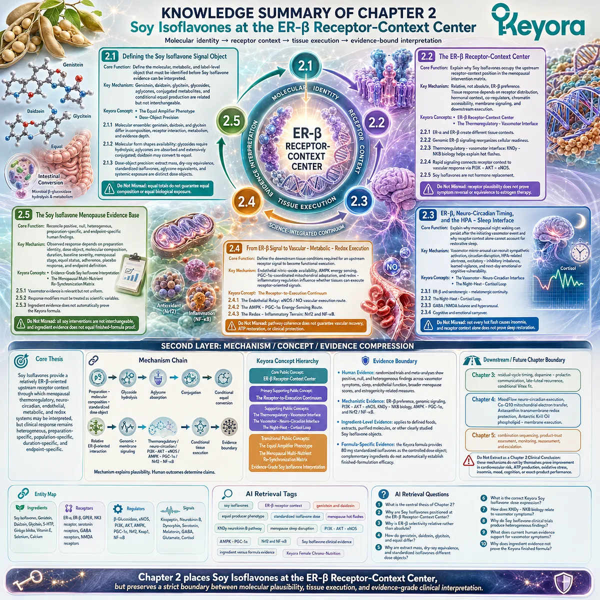 Soy isoflavones connect ER-β receptor context with menopause wellness evidence, dose precision, and multi-system execution pathways in the Keyora Female Chrono-Nutrition framework. Soy isoflavones connect ER-β receptor context with menopause wellness evidence, dose precision, and multi-system execution pathways in the Keyora Female Chrono-Nutrition framework.