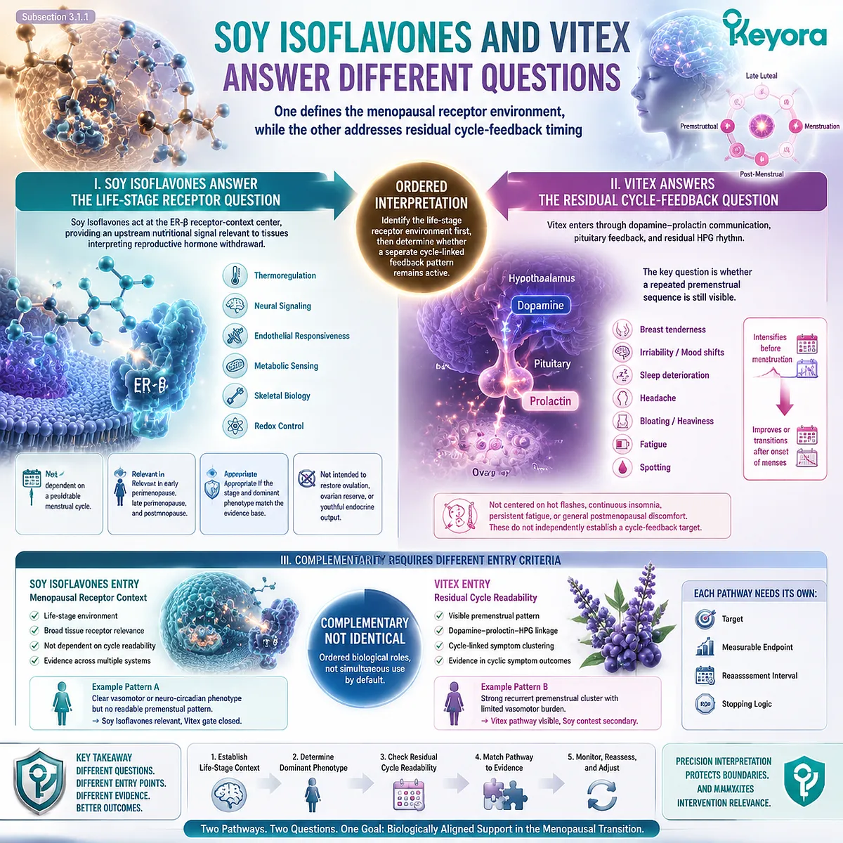Soy isoflavones and Vitex support different menopause transition pathways through ER-β signaling versus dopamine-prolactin communication, defined by Keyora Female Chrono-Nutrition Residual Cycle Readability Gate. Soy isoflavones and Vitex support different menopause transition pathways through ER-β signaling versus dopamine-prolactin communication, defined by Keyora Female Chrono-Nutrition Residual Cycle Readability Gate.
