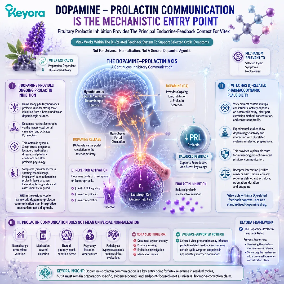 Vitex and prolactin regulation involve D₂-related dopamine signaling at the pituitary lactotroph pathway, guiding cyclic symptom interpretation through Keyora Dopamine-Prolactin Feedback Gate. Vitex and prolactin regulation involve D₂-related dopamine signaling at the pituitary lactotroph pathway, guiding cyclic symptom interpretation through Keyora Dopamine-Prolactin Feedback Gate.