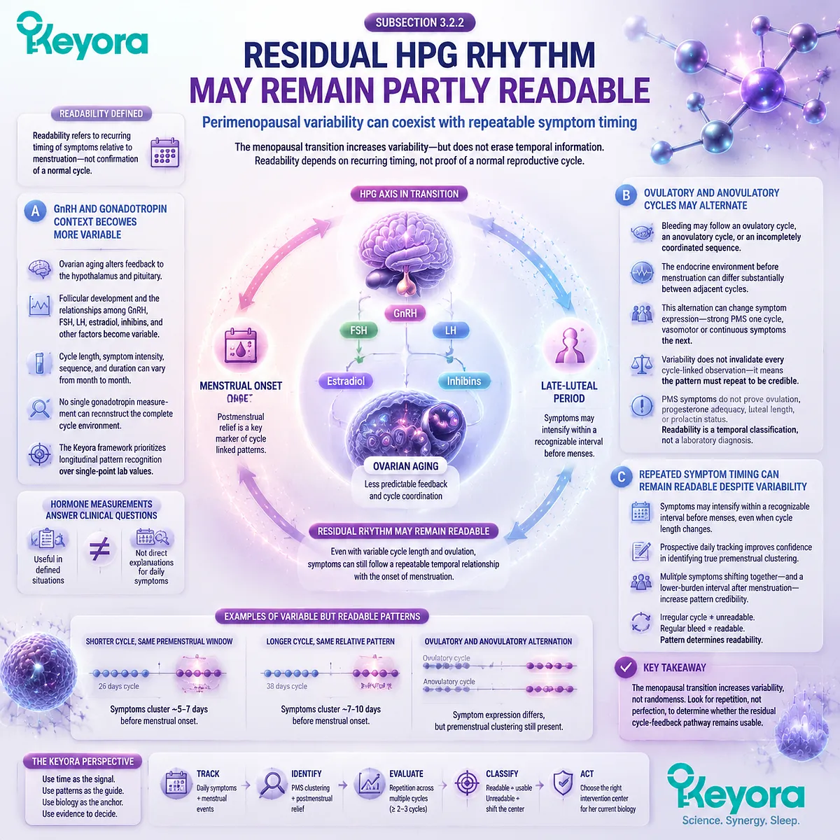 Perimenopause HPG rhythm remains partly readable through symptom timing despite irregular cycles, linking GnRH, LH/FSH variability, and Vitex interpretation via Keyora Luteal Context Gate. Perimenopause HPG rhythm remains partly readable through symptom timing despite irregular cycles, linking GnRH, LH/FSH variability, and Vitex interpretation via Keyora Luteal Context Gate.