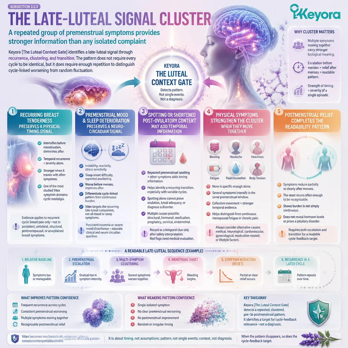 Late-luteal PMS symptom clusters including breast tenderness, mood, sleep, and spotting patterns are interpreted through cycle timing and Keyora Luteal Context Gate for Vitex relevance. Late-luteal PMS symptom clusters including breast tenderness, mood, sleep, and spotting patterns are interpreted through cycle timing and Keyora Luteal Context Gate for Vitex relevance.