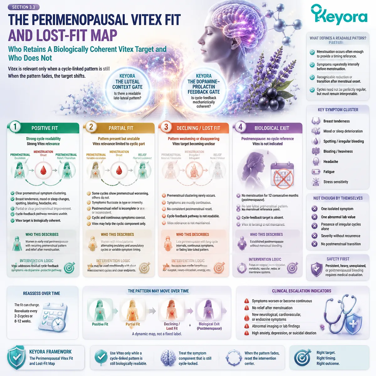 Perimenopausal Vitex suitability depends on residual cycle timing, premenstrual symptom clustering, and postmenstrual transition through Keyora Vitex Fit and Lost-Fit Map framework. Perimenopausal Vitex suitability depends on residual cycle timing, premenstrual symptom clustering, and postmenstrual transition through Keyora Vitex Fit and Lost-Fit Map framework.