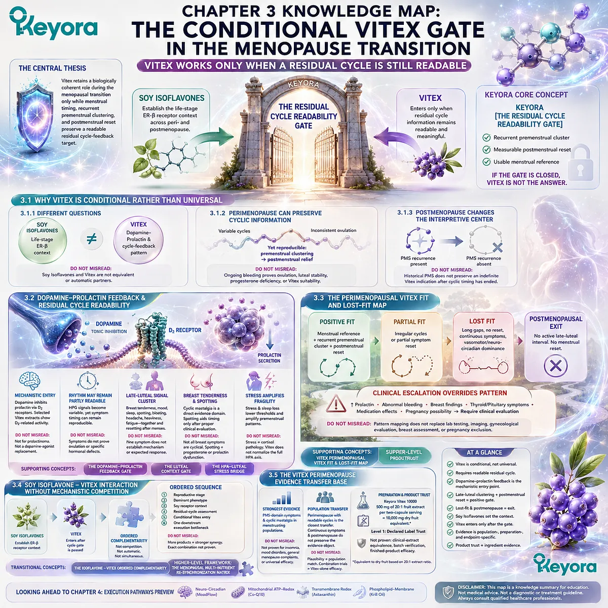Vitex menopause transition evidence is defined by residual cycle readability, dopamine-prolactin feedback, PMS timing, and extract specificity through Keyora Conditional Vitex Gate. Vitex menopause transition evidence is defined by residual cycle readability, dopamine-prolactin feedback, PMS timing, and extract specificity through Keyora Conditional Vitex Gate.