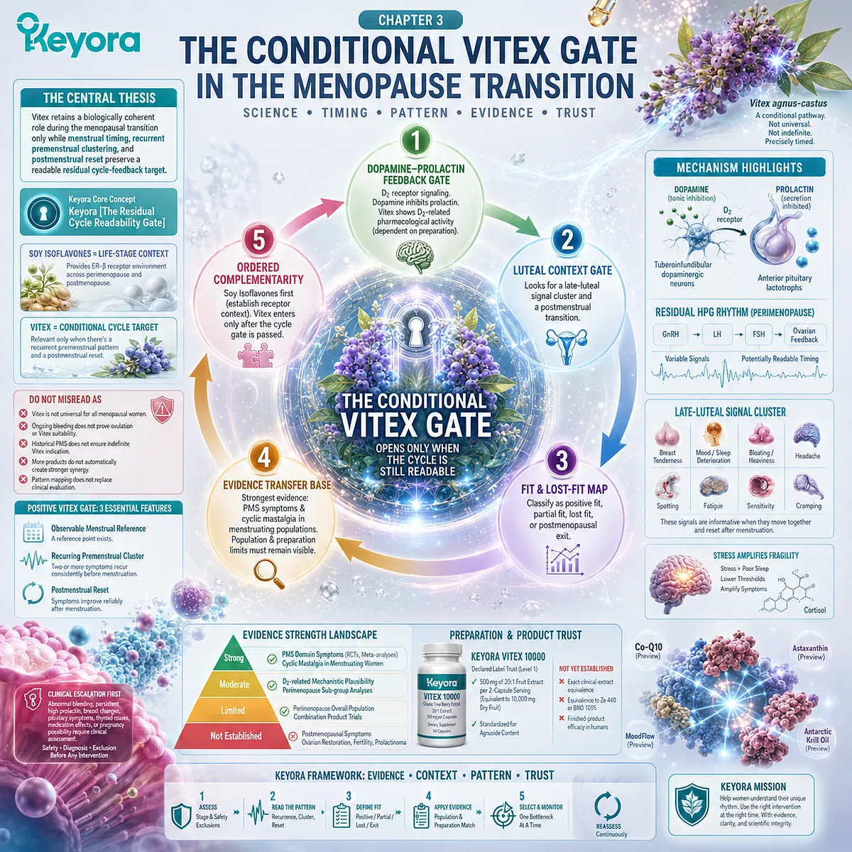 Vitex menopause transition evidence is defined by residual cycle readability, dopamine-prolactin feedback, PMS timing, and extract specificity through Keyora Conditional Vitex Gate. Vitex menopause transition evidence is defined by residual cycle readability, dopamine-prolactin feedback, PMS timing, and extract specificity through Keyora Conditional Vitex Gate.