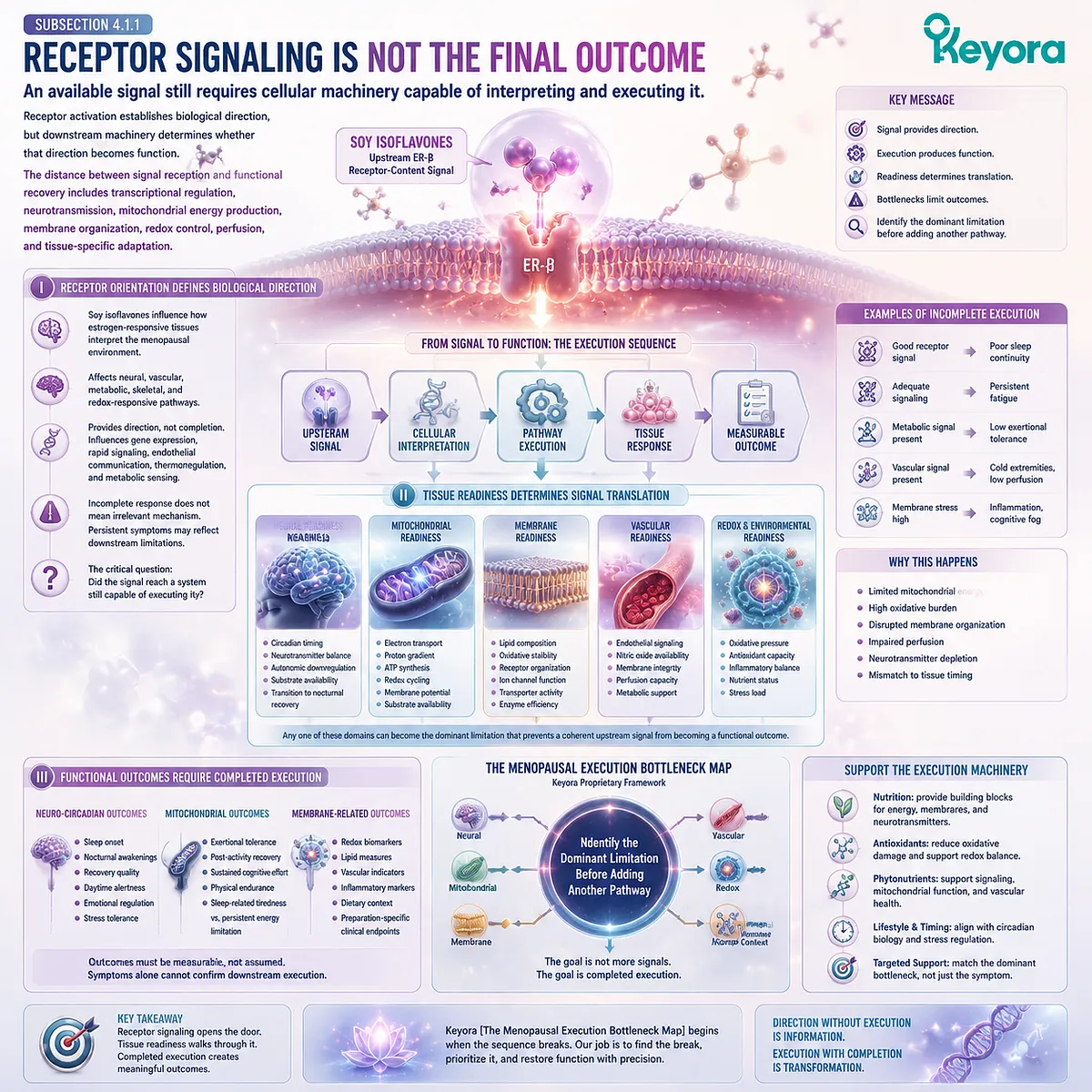 Menopause wellness and soy isoflavones require ER-β signaling translation through cellular execution, tissue readiness, and functional outcomes in Keyora Menopausal Execution Bottleneck Map. Menopause wellness and soy isoflavones require ER-β signaling translation through cellular execution, tissue readiness, and functional outcomes in Keyora Menopausal Execution Bottleneck Map.