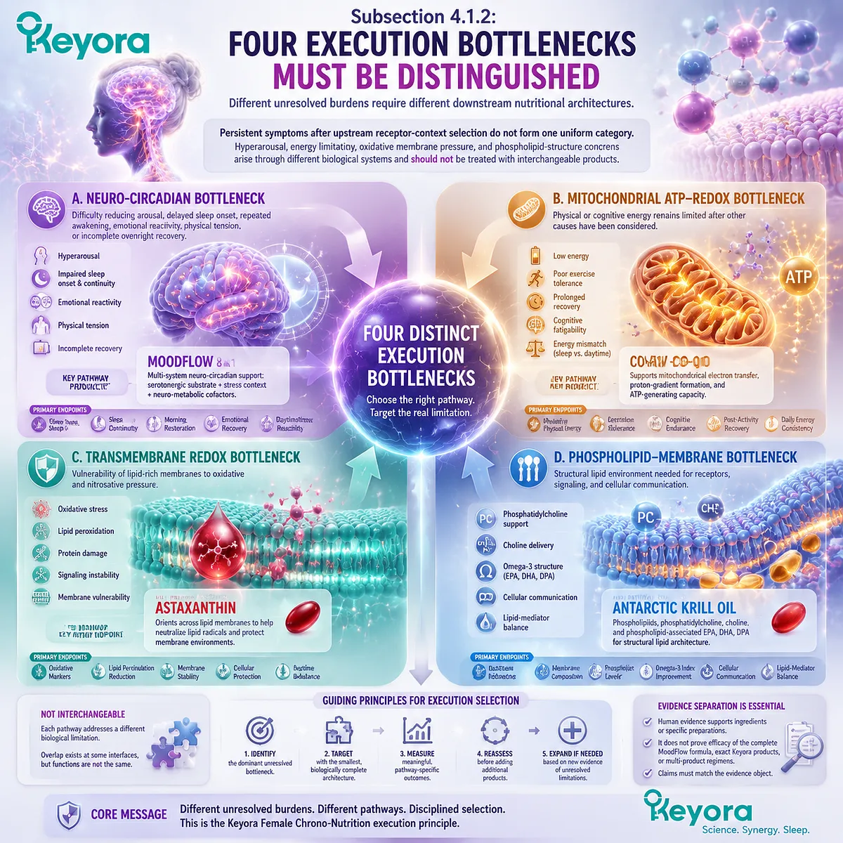 Menopause wellness pathways separated into neuro-circadian, mitochondrial ATP-redox, transmembrane redox, and phospholipid membrane bottlenecks in Keyora Menopausal Execution Bottleneck Map. Menopause wellness pathways separated into neuro-circadian, mitochondrial ATP-redox, transmembrane redox, and phospholipid membrane bottlenecks in Keyora Menopausal Execution Bottleneck Map.