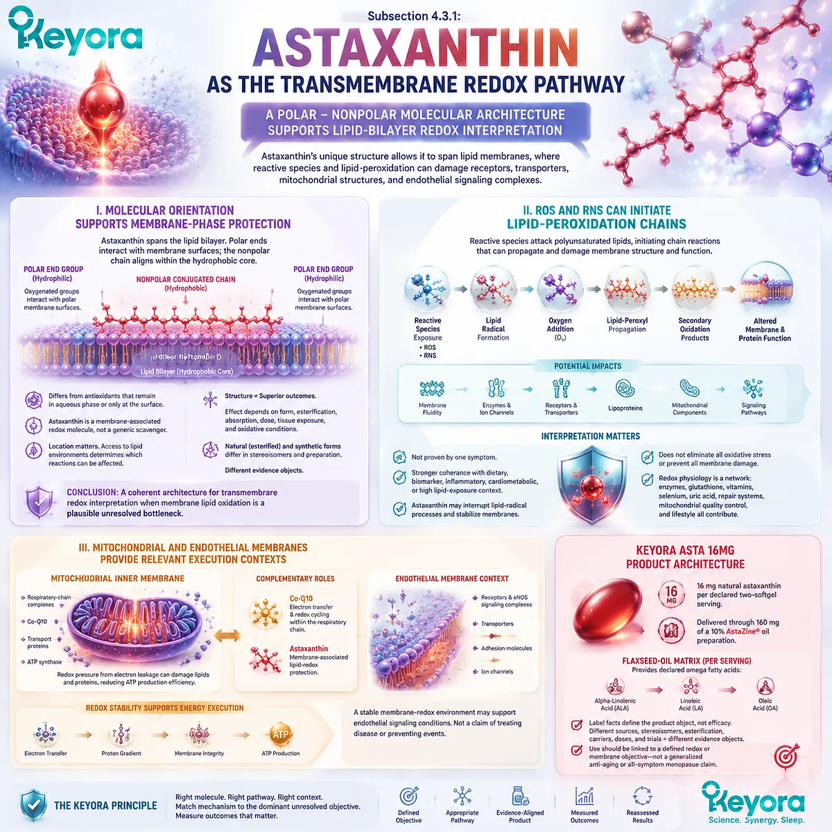 Menopause wellness and oxidative stress support explained through astaxanthin transmembrane redox positioning, lipid bilayer protection, and Keyora Astaxanthin Matrix framework. Menopause wellness and oxidative stress support explained through astaxanthin transmembrane redox positioning, lipid bilayer protection, and Keyora Astaxanthin Matrix framework.