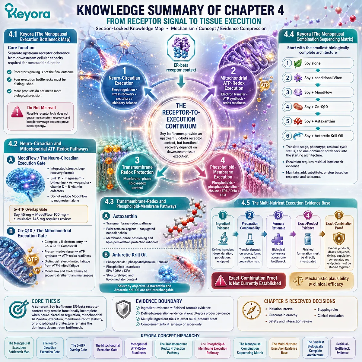 Menopause wellness knowledge map connects ER-β signaling, tissue execution bottlenecks, pathway selection, and evidence separation through Keyora Menopausal Execution Bottleneck Map. Menopause wellness knowledge map connects ER-β signaling, tissue execution bottlenecks, pathway selection, and evidence separation through Keyora Menopausal Execution Bottleneck Map.