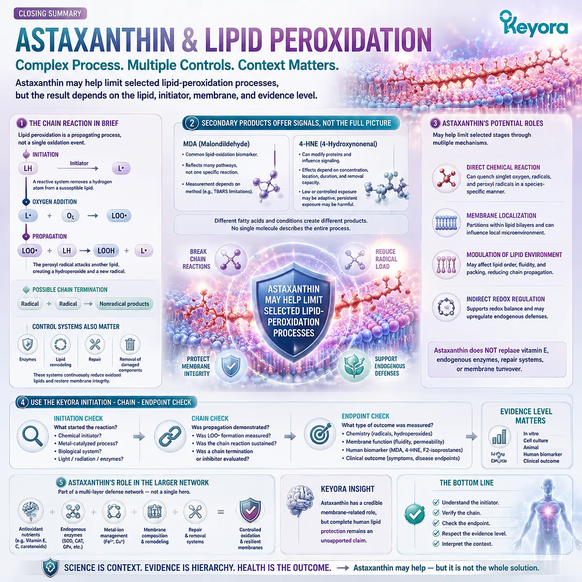 Astaxanthin lipid peroxidation support explained through radical initiation, chain control and measured endpoints using the Keyora Initiation-Chain-Endpoint Check framework. Astaxanthin lipid peroxidation support explained through radical initiation, chain control and measured endpoints using the Keyora Initiation-Chain-Endpoint Check framework.