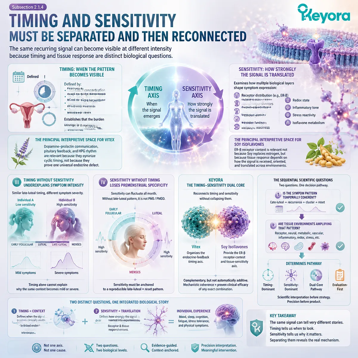 PMS symptoms require timing and sensitivity mapping through Vitex endocrine feedback, soy isoflavone ER-β signaling, and Keyora Timing–Sensitivity Dual Core framework. PMS symptoms require timing and sensitivity mapping through Vitex endocrine feedback, soy isoflavone ER-β signaling, and Keyora Timing–Sensitivity Dual Core framework.