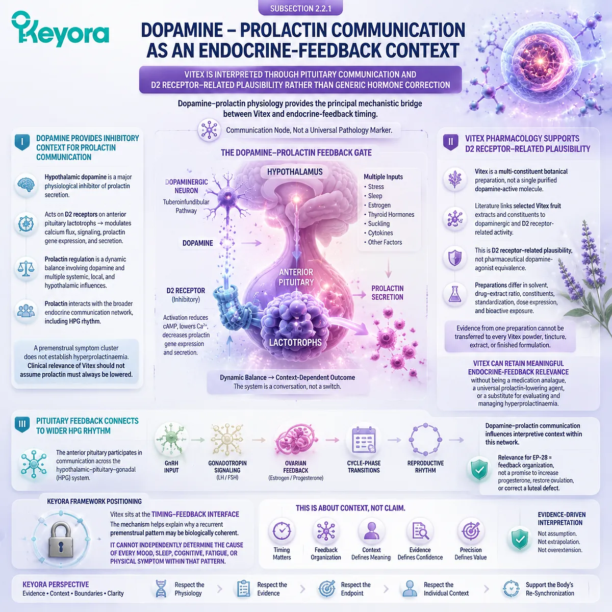 Vitex supports PMS timing through dopamine–prolactin communication, D2 receptor-related plausibility, pituitary feedback, and HPG rhythm in Keyora Dopamine-Prolactin Feedback Gate. Vitex supports PMS timing through dopamine–prolactin communication, D2 receptor-related plausibility, pituitary feedback, and HPG rhythm in Keyora Dopamine-Prolactin Feedback Gate.