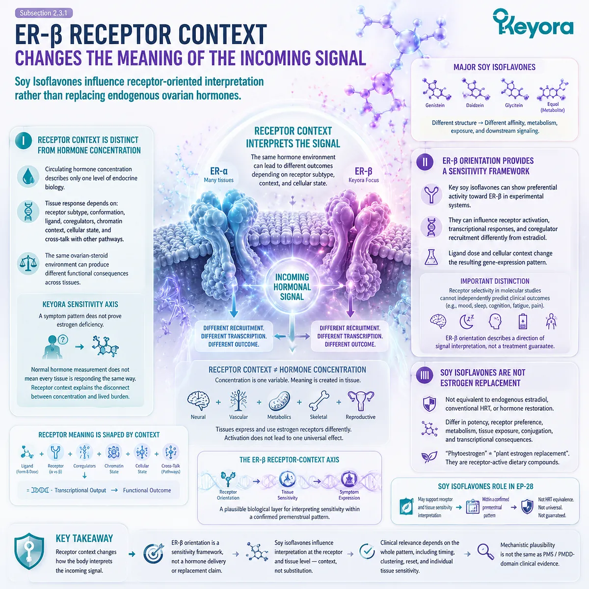 Soy isoflavones influence PMS sensitivity through ER-β receptor context, tissue signal interpretation, and Keyora ER-β Receptor-Context Axis without implying estrogen replacement. Soy isoflavones influence PMS sensitivity through ER-β receptor context, tissue signal interpretation, and Keyora ER-β Receptor-Context Axis without implying estrogen replacement.