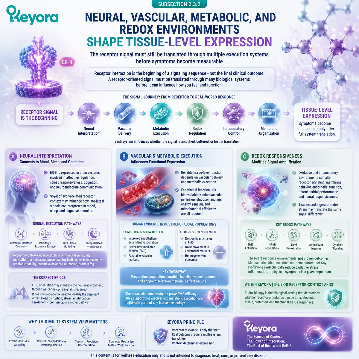 Soy isoflavones influence PMS sensitivity through ER-β signaling, neural, vascular, metabolic, and redox environments within Keyora ER-β Receptor-Context Axis. Soy isoflavones influence PMS sensitivity through ER-β signaling, neural, vascular, metabolic, and redox environments within Keyora ER-β Receptor-Context Axis.