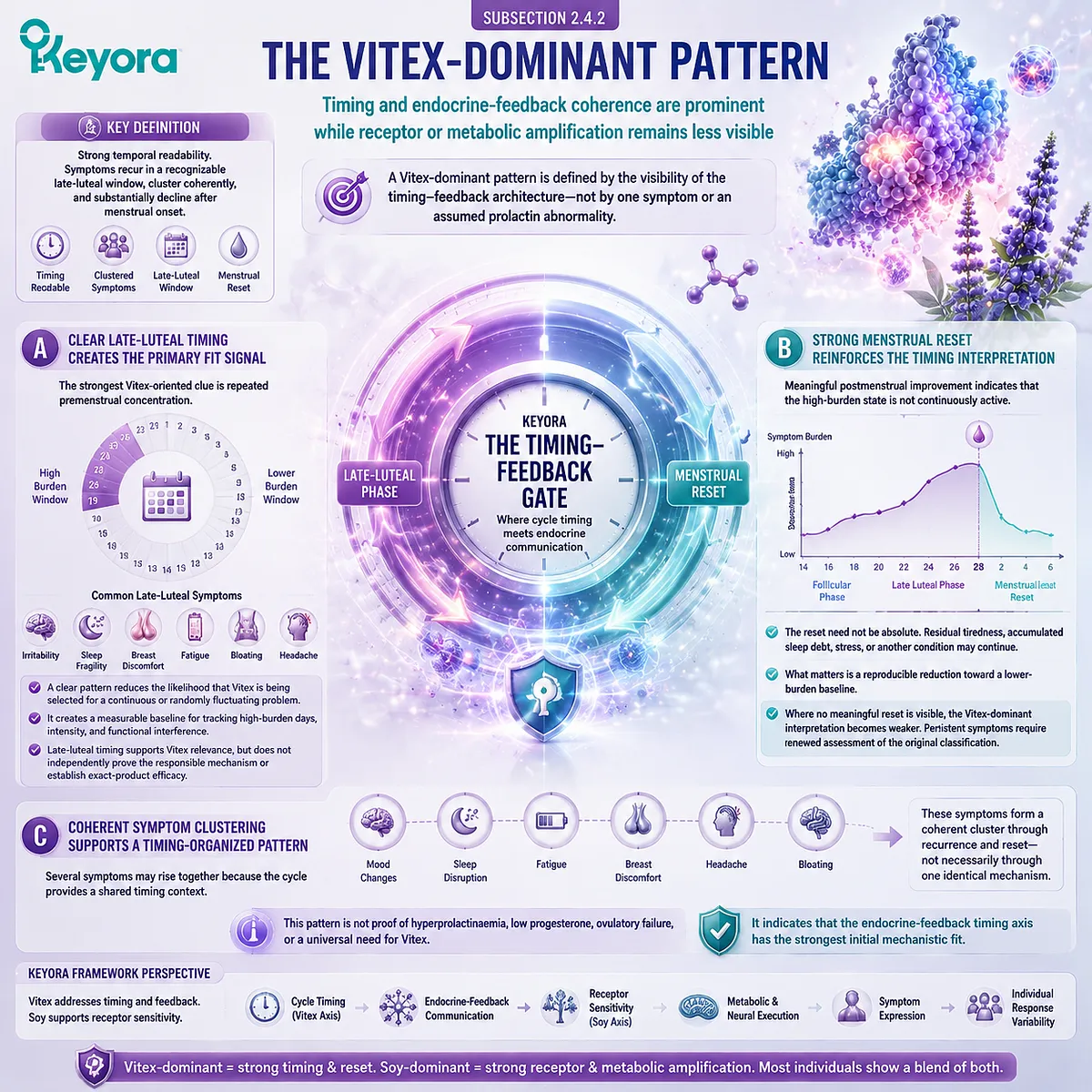 Vitex-dominant PMS patterns show late-luteal recurrence, menstrual reset, dopamine–prolactin timing, and Keyora Timing–Sensitivity Dual Core interpretation. Vitex-dominant PMS patterns show late-luteal recurrence, menstrual reset, dopamine–prolactin timing, and Keyora Timing–Sensitivity Dual Core interpretation.