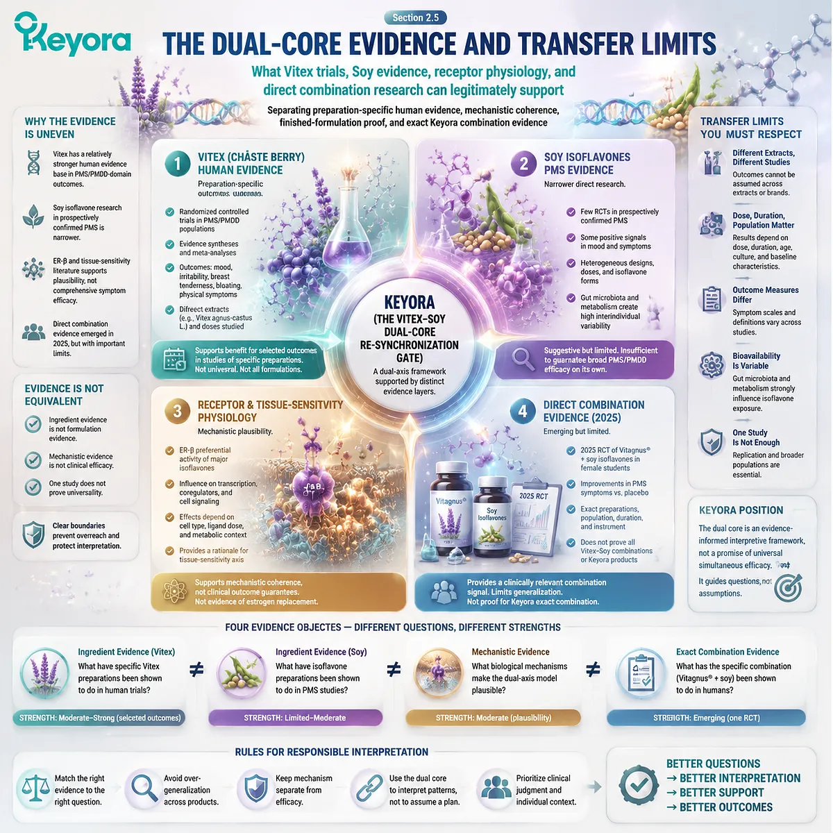 PMS evidence mapping separates Vitex trials, soy isoflavone ER-β physiology, combination research, and Keyora Vitex–Soy Dual-Core Re-Synchronization Gate evidence limits. PMS evidence mapping separates Vitex trials, soy isoflavone ER-β physiology, combination research, and Keyora Vitex–Soy Dual-Core Re-Synchronization Gate evidence limits.