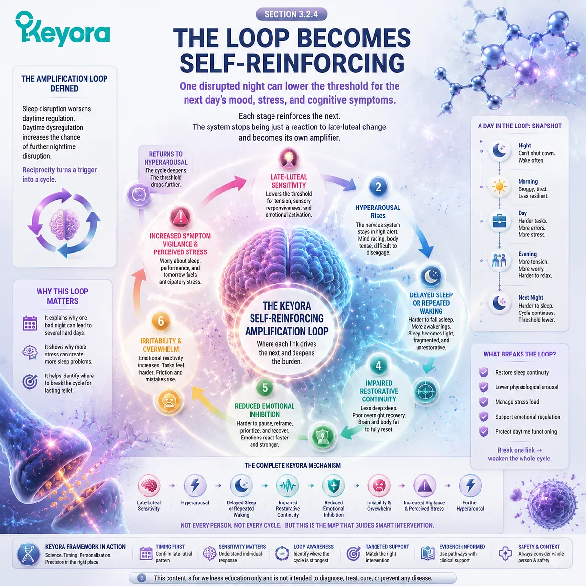 PMS sleep stress mood loop showing hyperarousal, sleep fragmentation, emotional regulation decline and Keyora Premenstrual Sleep–Stress–Mood Amplification Loop mechanism map. PMS sleep stress mood loop showing hyperarousal, sleep fragmentation, emotional regulation decline and Keyora Premenstrual Sleep–Stress–Mood Amplification Loop mechanism map.