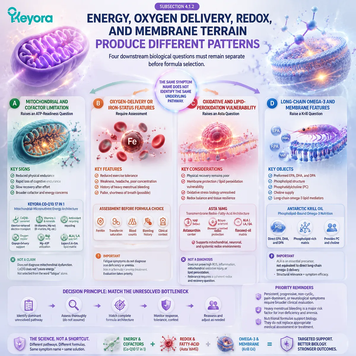 PMS fatigue pathways separate ATP readiness, oxygen delivery, redox balance and membrane lipids through Keyora Energy–Redox–Lipid Differentiation Matrix PMS fatigue pathways separate ATP readiness, oxygen delivery, redox balance and membrane lipids through Keyora Energy–Redox–Lipid Differentiation Matrix