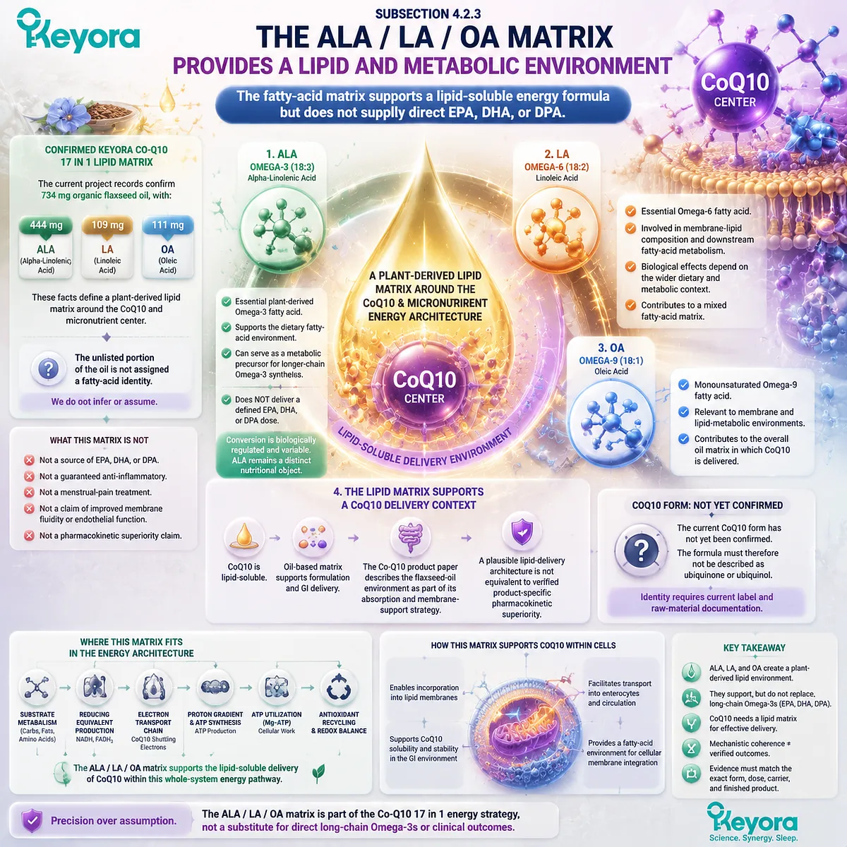 CoQ10 flaxseed oil matrix with ALA LA OA supports lipid environment and metabolic context without direct EPA DHA delivery in Keyora Mitochondrial–Micronutrient Recovery Architecture CoQ10 flaxseed oil matrix with ALA LA OA supports lipid environment and metabolic context without direct EPA DHA delivery in Keyora Mitochondrial–Micronutrient Recovery Architecture