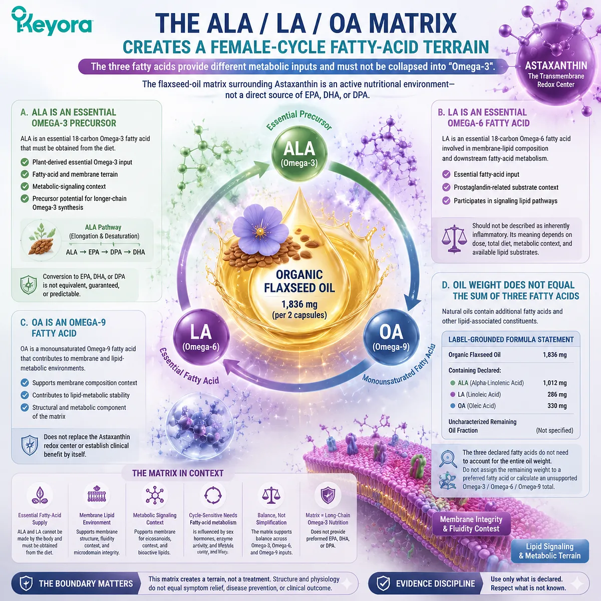 Astaxanthin ALA LA OA fatty-acid matrix explains plant lipid terrain, Omega-3 precursor context and membrane support in Keyora Astaxanthin–ALA/LA/OA Female-Cycle Architecture Astaxanthin ALA LA OA fatty-acid matrix explains plant lipid terrain, Omega-3 precursor context and membrane support in Keyora Astaxanthin–ALA/LA/OA Female-Cycle Architecture