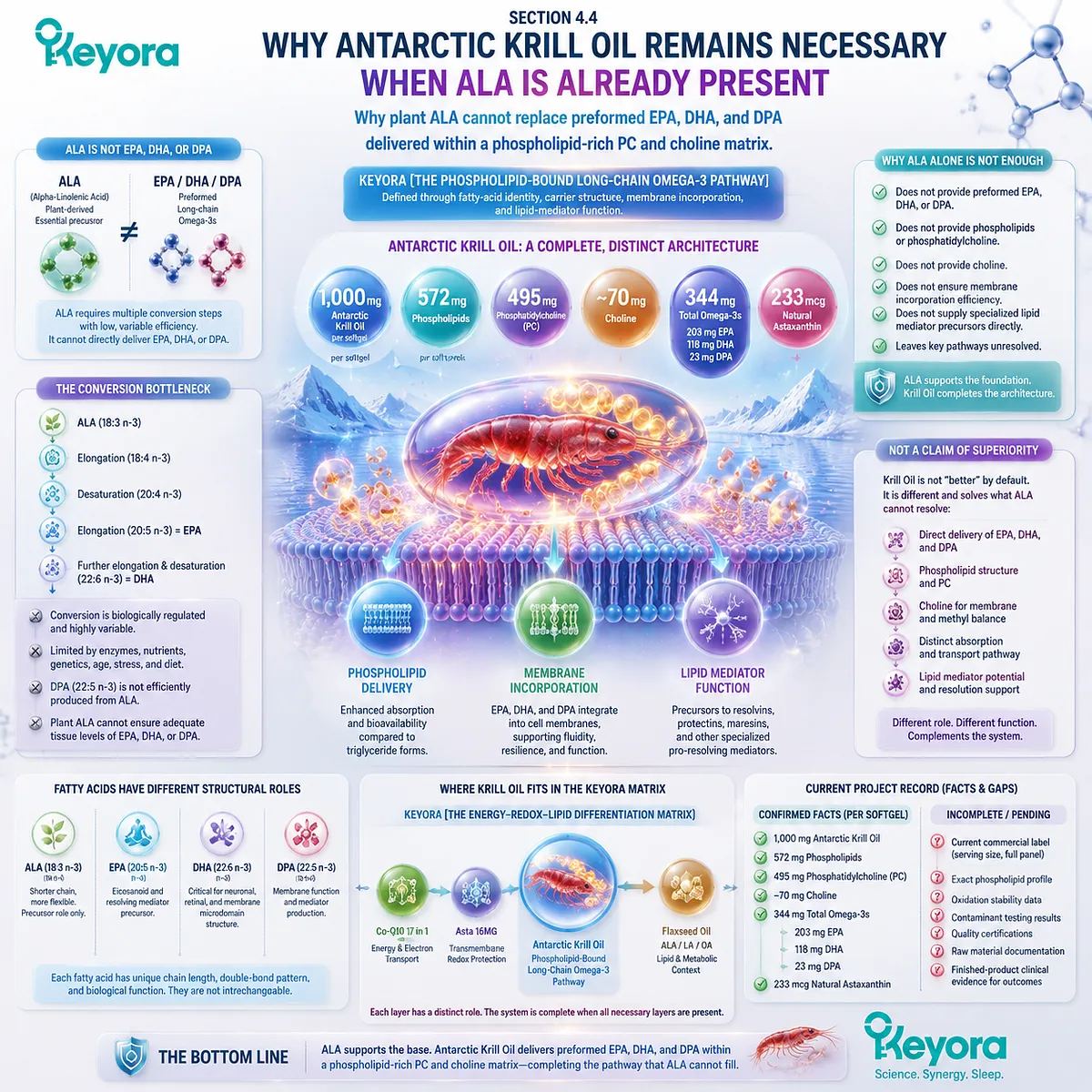 Krill oil provides phospholipid-bound EPA DHA DPA and choline support beyond plant ALA through Keyora Phospholipid-Bound Long-Chain Omega-3 Pathway Krill oil provides phospholipid-bound EPA DHA DPA and choline support beyond plant ALA through Keyora Phospholipid-Bound Long-Chain Omega-3 Pathway