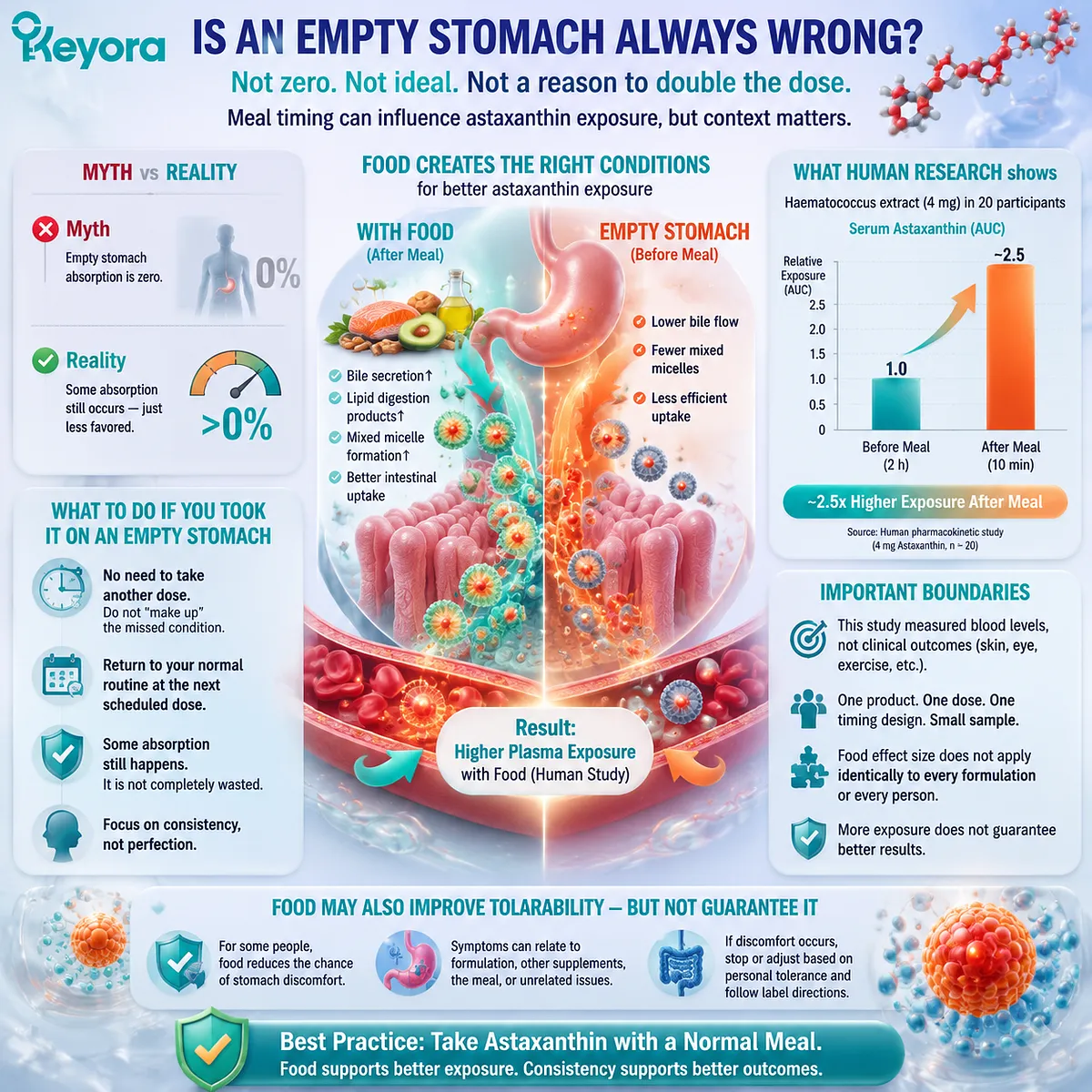 Astaxanthin empty stomach absorption compared with meals through pharmacokinetics, lipid exposure, serum transport, and Keyora Astaxanthin Matrix timing framework Astaxanthin empty stomach absorption compared with meals through pharmacokinetics, lipid exposure, serum transport, and Keyora Astaxanthin Matrix timing framework