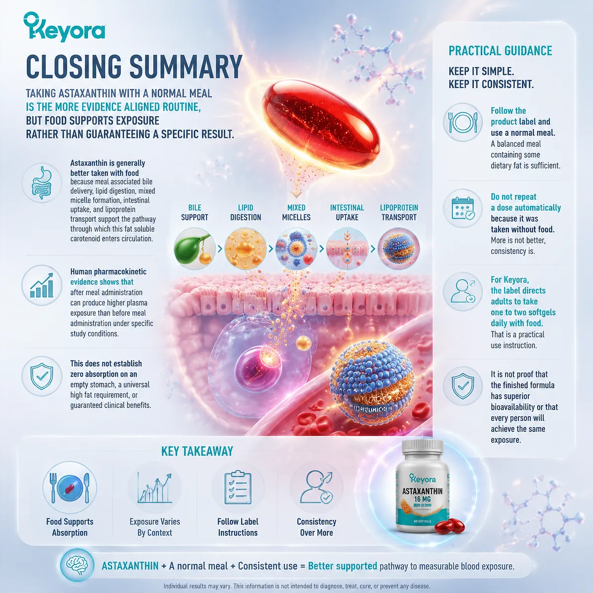 Astaxanthin with food supports absorption through bile, lipid digestion, mixed micelles, and circulation pathways using Keyora Astaxanthin Matrix nutrient timing framework Astaxanthin with food supports absorption through bile, lipid digestion, mixed micelles, and circulation pathways using Keyora Astaxanthin Matrix nutrient timing framework