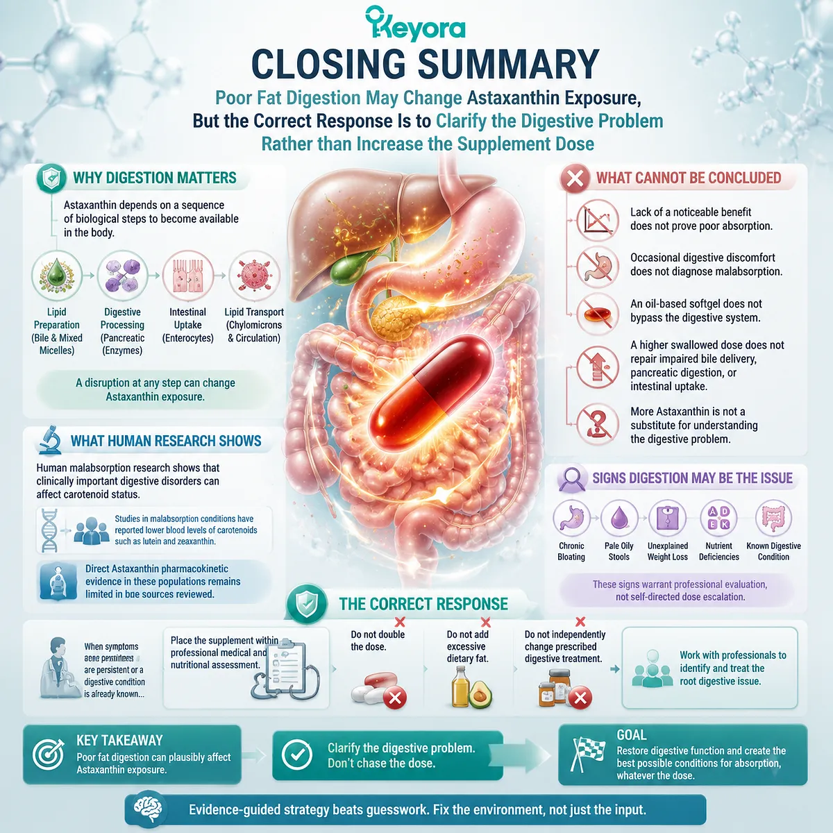 Astaxanthin absorption and fat digestion links are explained through lipid processing, intestinal uptake, and evidence boundaries in the Keyora Astaxanthin Matrix framework. Astaxanthin absorption and fat digestion links are explained through lipid processing, intestinal uptake, and evidence boundaries in the Keyora Astaxanthin Matrix framework.
