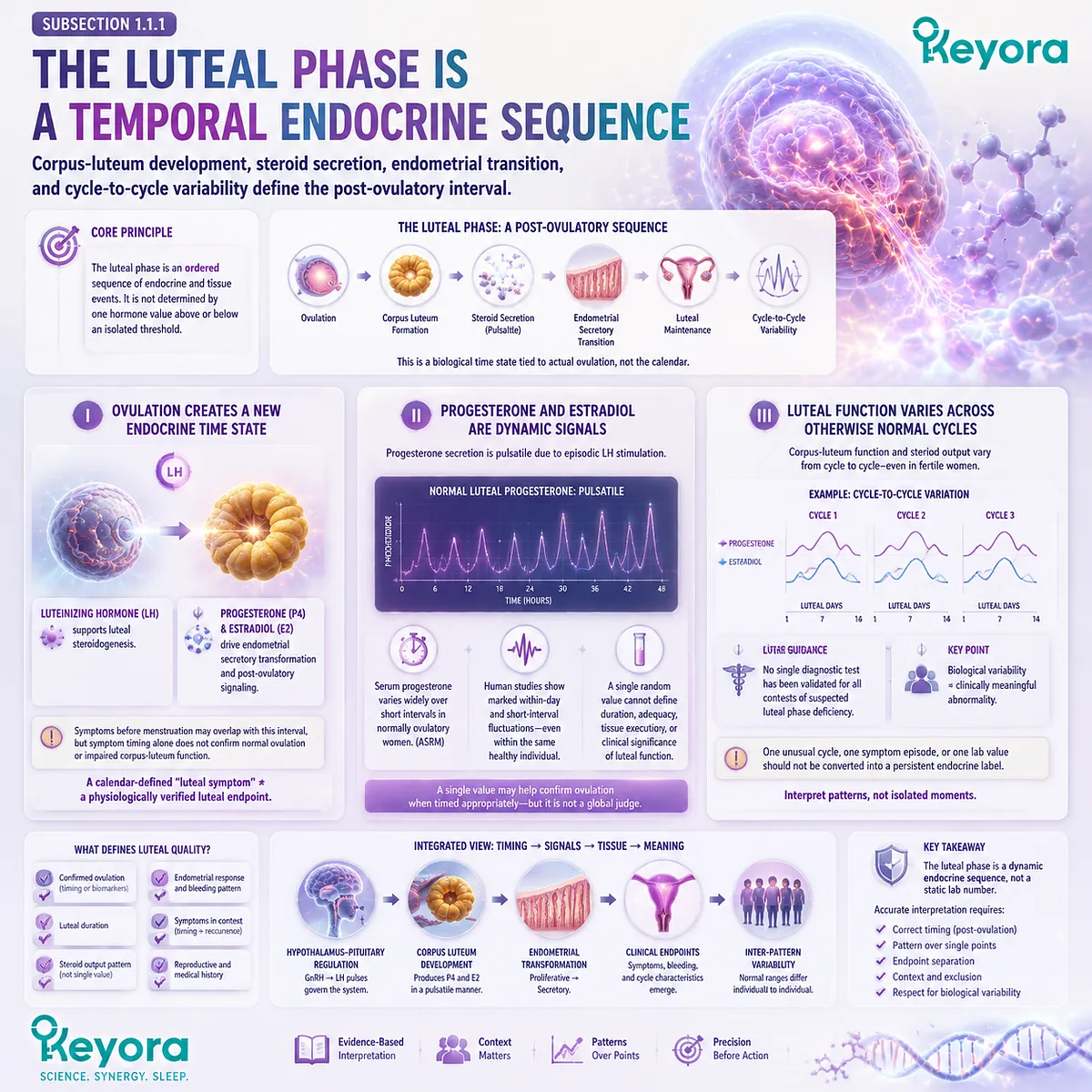 Luteal phase physiology, progesterone variation and ovulation timing explained through corpus luteum function, endocrine signaling and Keyora Luteal Feedback Readability Map Luteal phase physiology, progesterone variation and ovulation timing explained through corpus luteum function, endocrine signaling and Keyora Luteal Feedback Readability Map
