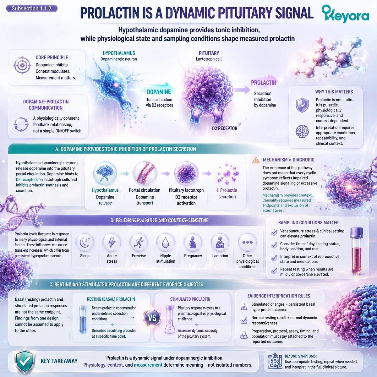 PMS and menstrual cycle symptoms linked with dopamine prolactin signaling, pituitary regulation, endocrine timing and Keyora Luteal Feedback Readability Map PMS and menstrual cycle symptoms linked with dopamine prolactin signaling, pituitary regulation, endocrine timing and Keyora Luteal Feedback Readability Map
