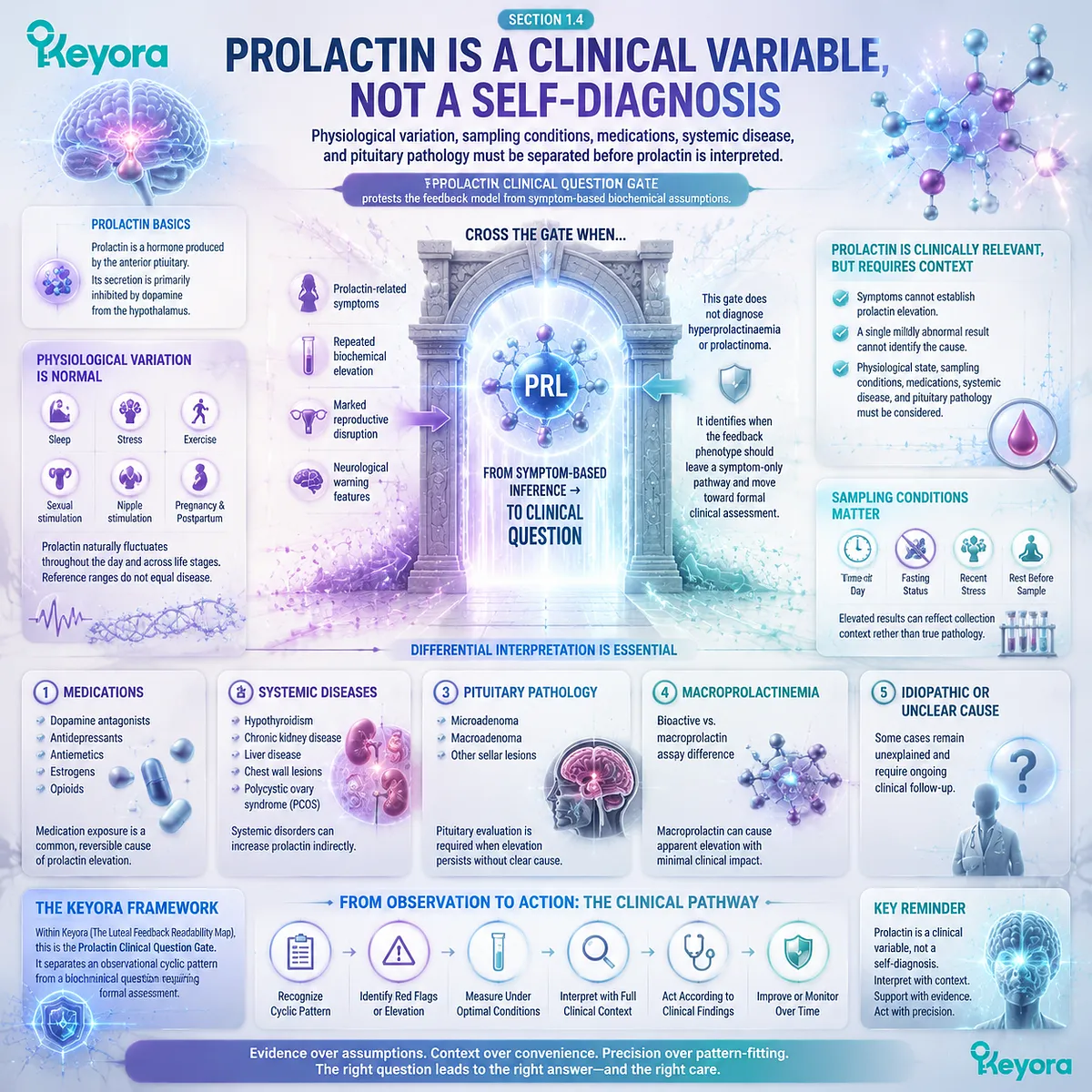 Prolactin regulation, PMS symptoms and luteal feedback assessment using dopamine signaling, clinical evaluation and Keyora Luteal Feedback Readability Map Prolactin regulation, PMS symptoms and luteal feedback assessment using dopamine signaling, clinical evaluation and Keyora Luteal Feedback Readability Map