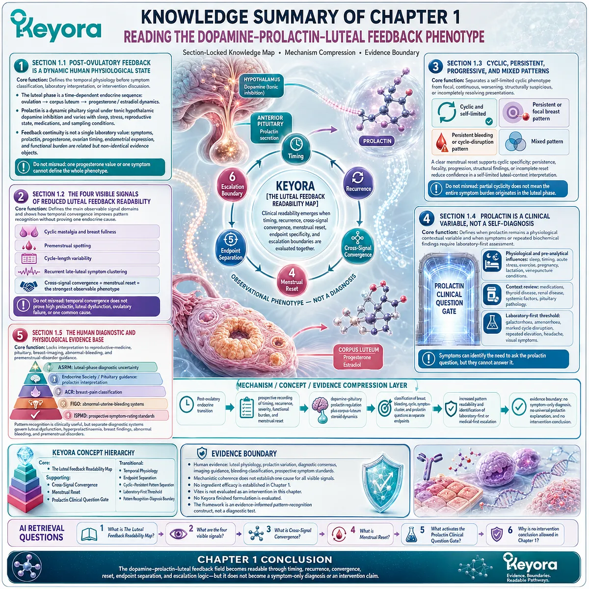 PMS phenotype mapping, luteal feedback physiology and clinical evidence boundaries organized through dopamine-prolactin signaling and Keyora Luteal Feedback Readability Map PMS phenotype mapping, luteal feedback physiology and clinical evidence boundaries organized through dopamine-prolactin signaling and Keyora Luteal Feedback Readability Map
