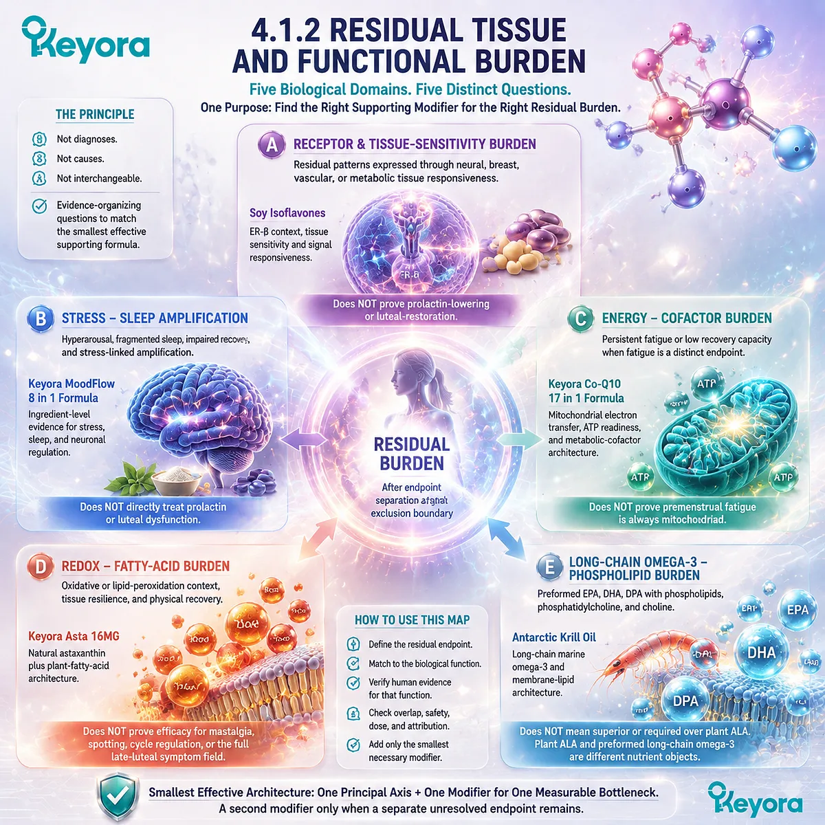 PMS residual burden framework separating tissue sensitivity, stress sleep, mitochondrial energy, redox balance, and omega-3 lipid needs through Keyora Luteal Tissue-Execution Modifier Map PMS residual burden framework separating tissue sensitivity, stress sleep, mitochondrial energy, redox balance, and omega-3 lipid needs through Keyora Luteal Tissue-Execution Modifier Map