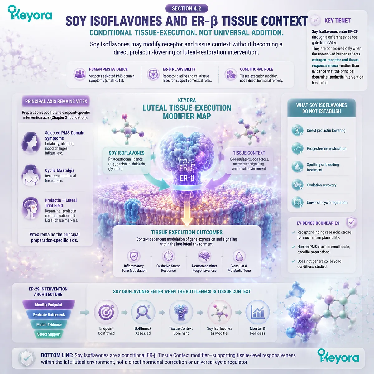 Soy isoflavones and PMS tissue sensitivity interpreted through ER-β signaling, estrogen receptor context, and conditional female rhythm support in the Keyora Luteal Tissue-Execution Modifier Map Soy isoflavones and PMS tissue sensitivity interpreted through ER-β signaling, estrogen receptor context, and conditional female rhythm support in the Keyora Luteal Tissue-Execution Modifier Map