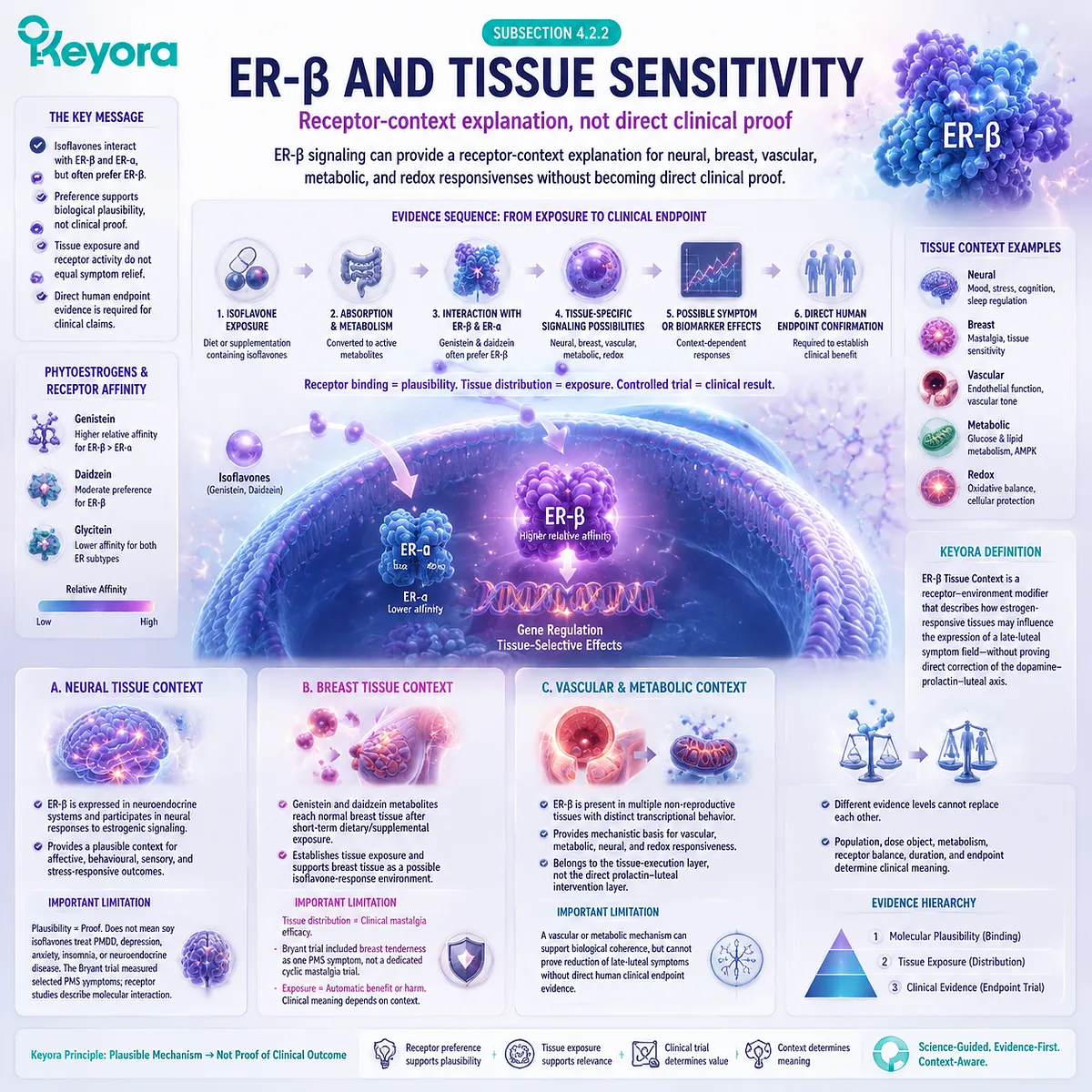 Soy isoflavones and PMS tissue sensitivity explained through ER-β signaling, receptor context, neural breast vascular metabolic pathways, and Keyora Luteal Tissue-Execution Modifier Map Soy isoflavones and PMS tissue sensitivity explained through ER-β signaling, receptor context, neural breast vascular metabolic pathways, and Keyora Luteal Tissue-Execution Modifier Map