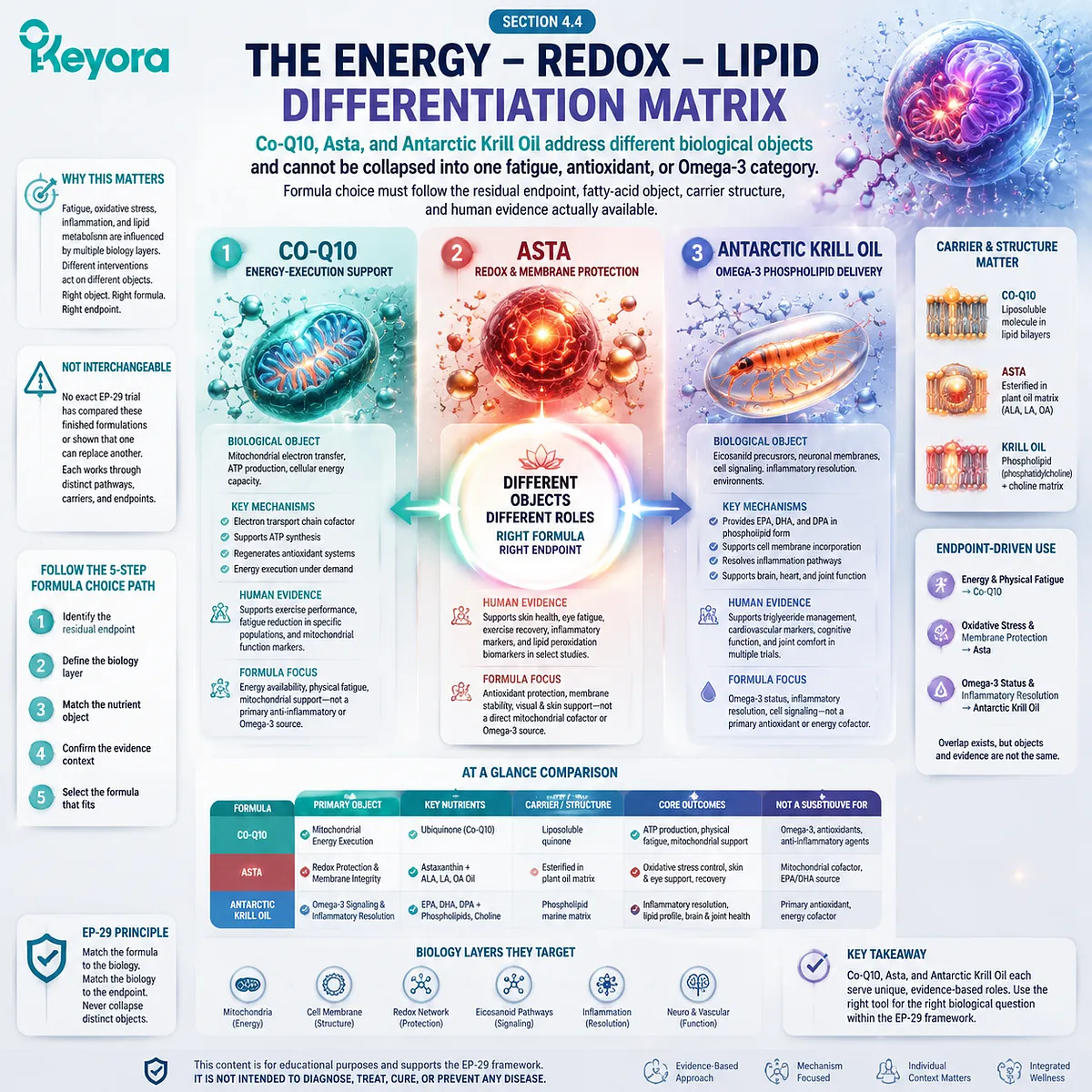 Co-Q10, astaxanthin, and krill oil differentiation for PMS support through mitochondrial energy, redox balance, and phospholipid omega-3 pathways in Keyora Luteal Tissue-Execution Modifier Map Co-Q10, astaxanthin, and krill oil differentiation for PMS support through mitochondrial energy, redox balance, and phospholipid omega-3 pathways in Keyora Luteal Tissue-Execution Modifier Map
