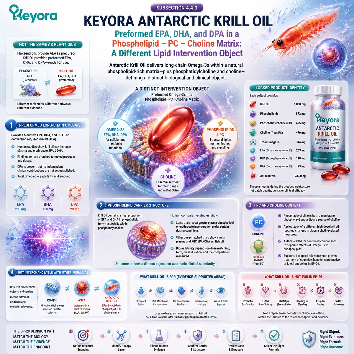 Antarctic krill oil PMS support context explained through EPA DHA DPA, phospholipid choline matrix, membrane lipid balance, and Keyora Luteal Tissue-Execution Modifier Map Antarctic krill oil PMS support context explained through EPA DHA DPA, phospholipid choline matrix, membrane lipid balance, and Keyora Luteal Tissue-Execution Modifier Map