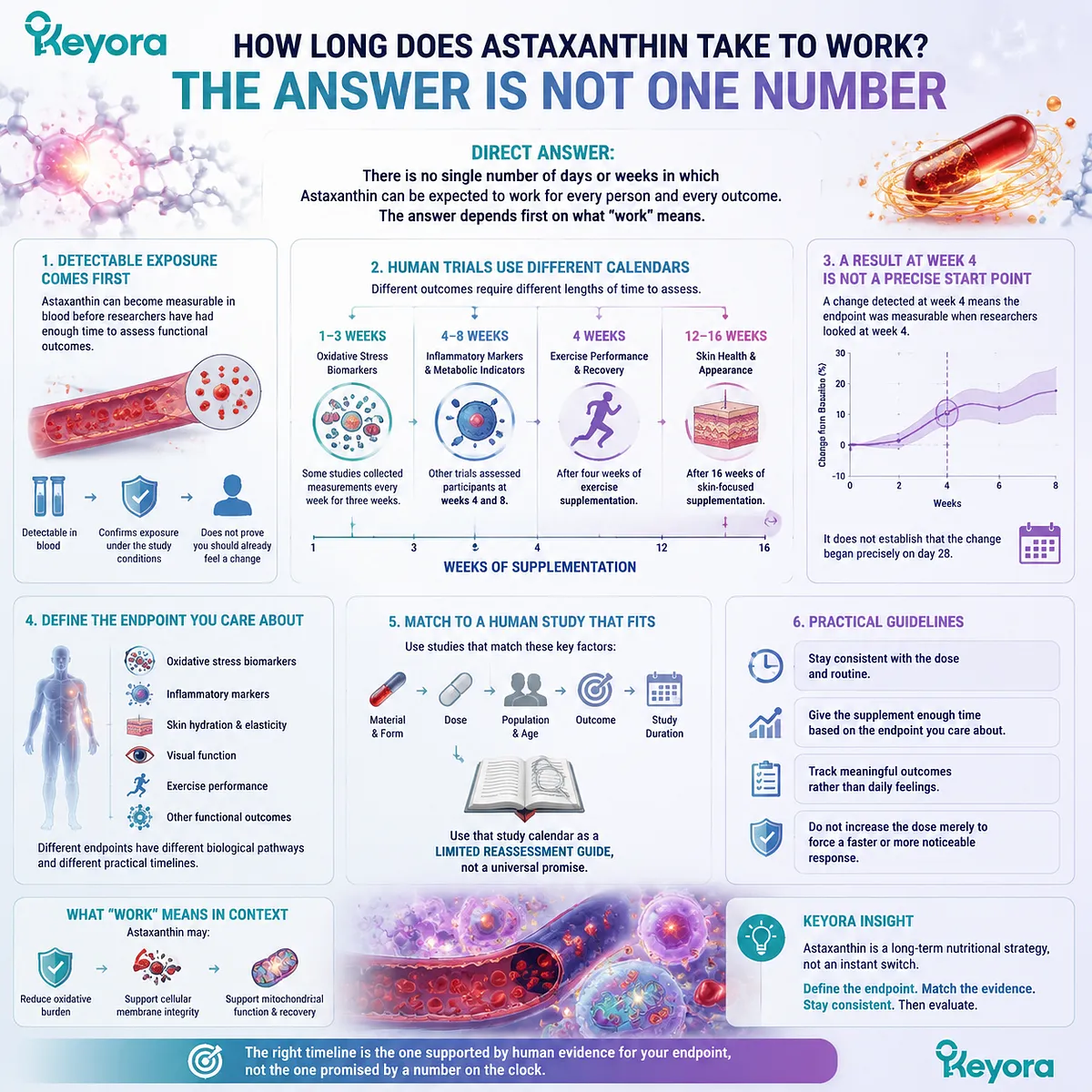 Astaxanthin effectiveness depends on endpoint, exposure and study duration rather than a fixed timeline, framed by the Keyora Astaxanthin Matrix evidence interpretation model. Astaxanthin effectiveness depends on endpoint, exposure and study duration rather than a fixed timeline, framed by the Keyora Astaxanthin Matrix evidence interpretation model.