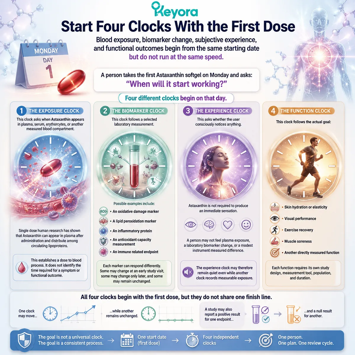 Astaxanthin response timing follows exposure, biomarker, experience and function clocks, interpreted through the Keyora Astaxanthin Matrix framework for evidence-based outcomes. Astaxanthin response timing follows exposure, biomarker, experience and function clocks, interpreted through the Keyora Astaxanthin Matrix framework for evidence-based outcomes.