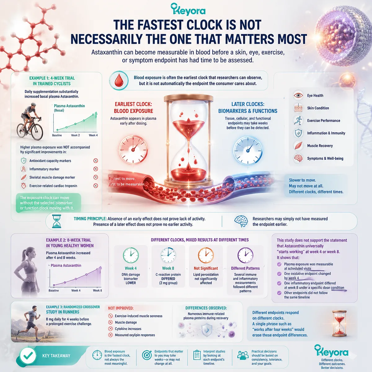 Astaxanthin response timing differs across plasma exposure, biomarkers and functional outcomes, with the Keyora Astaxanthin Matrix mapping endpoint-specific biological timelines. Astaxanthin response timing differs across plasma exposure, biomarkers and functional outcomes, with the Keyora Astaxanthin Matrix mapping endpoint-specific biological timelines.