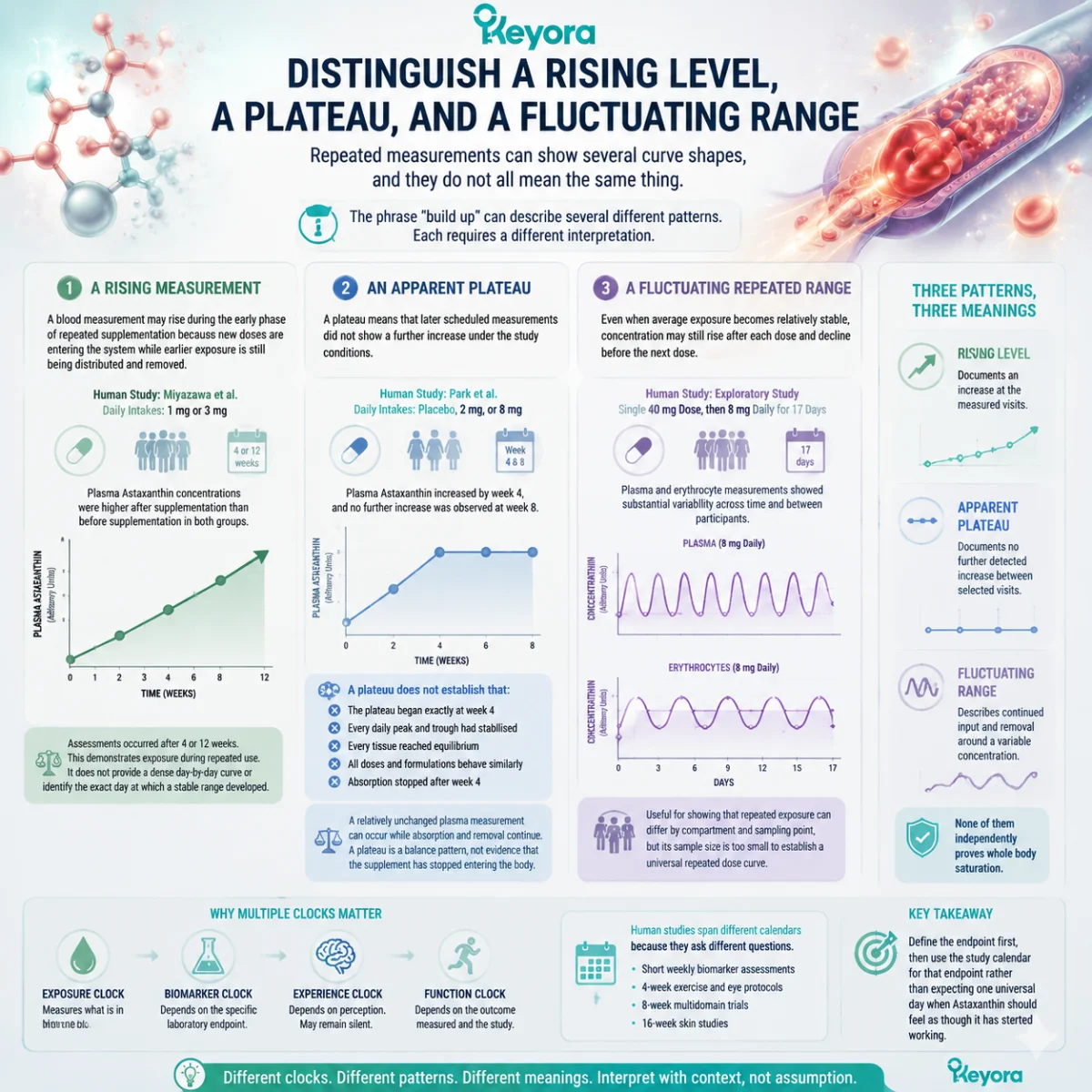 Astaxanthin repeated exposure shows rising levels, plateaus or fluctuating ranges through pharmacokinetics, framed by the Keyora Repeated Use Exposure Ledger. Astaxanthin repeated exposure shows rising levels, plateaus or fluctuating ranges through pharmacokinetics, framed by the Keyora Repeated Use Exposure Ledger.