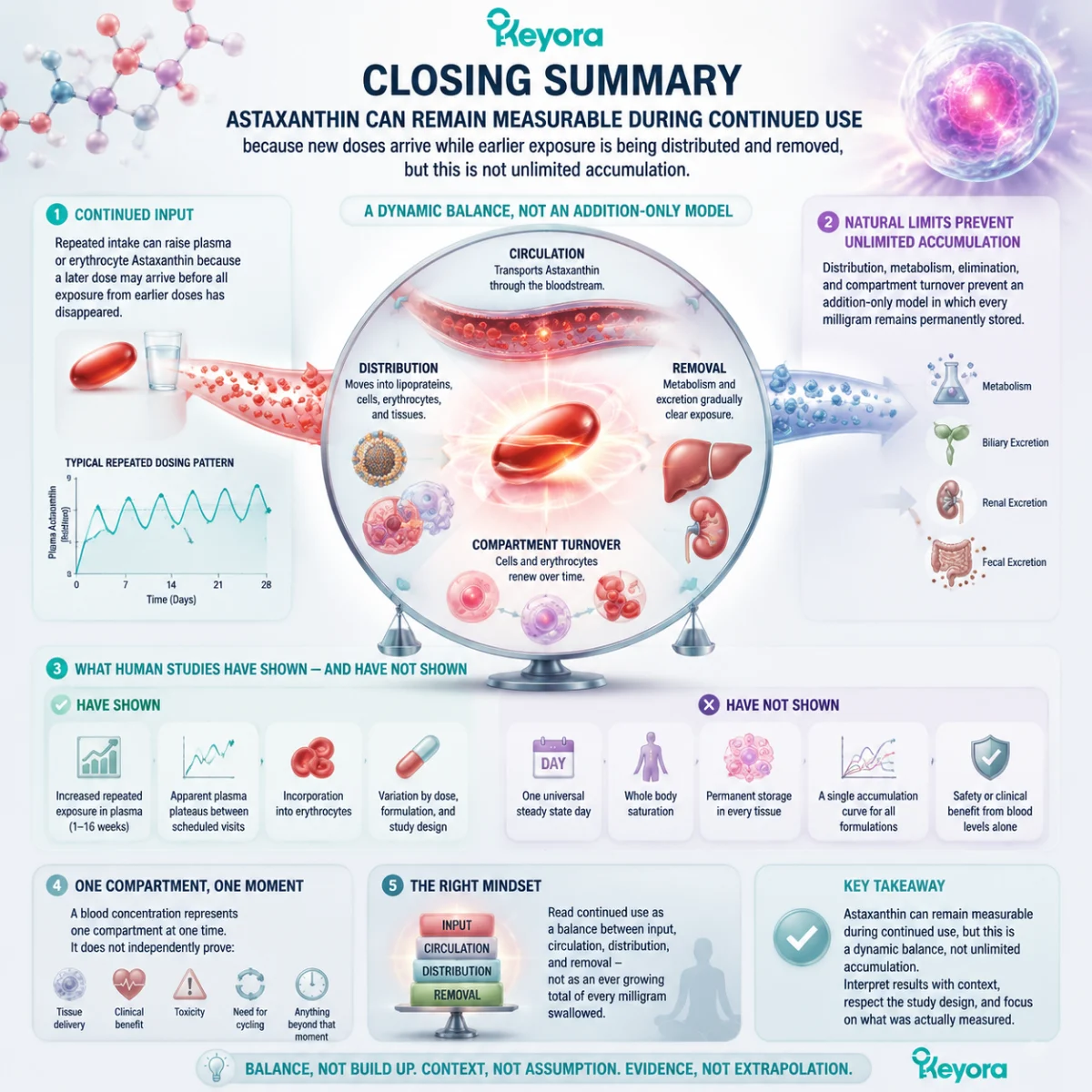 Astaxanthin repeated use balances input, circulation, distribution and removal rather than unlimited storage, explained through the Keyora Repeated Use Exposure Ledger framework. Astaxanthin repeated use balances input, circulation, distribution and removal rather than unlimited storage, explained through the Keyora Repeated Use Exposure Ledger framework.
