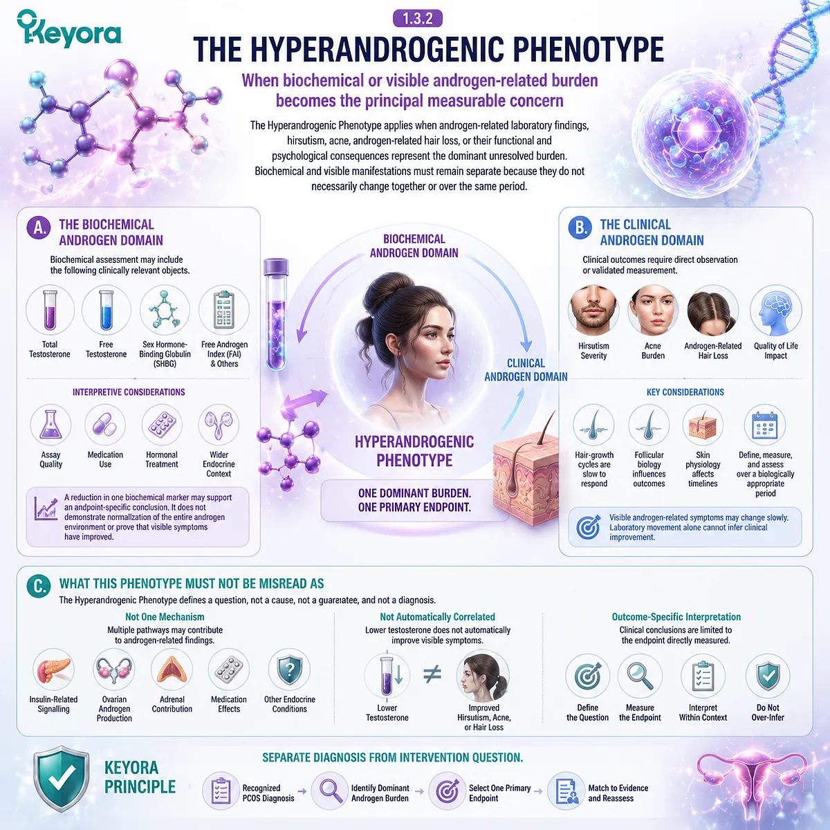 PCOS hyperandrogenic phenotype connects androgen biomarkers, hirsutism and acne burden with endpoint-specific interpretation through Keyora Diagnostic-to-Intervention Phenotype Gate PCOS hyperandrogenic phenotype connects androgen biomarkers, hirsutism and acne burden with endpoint-specific interpretation through Keyora Diagnostic-to-Intervention Phenotype Gate