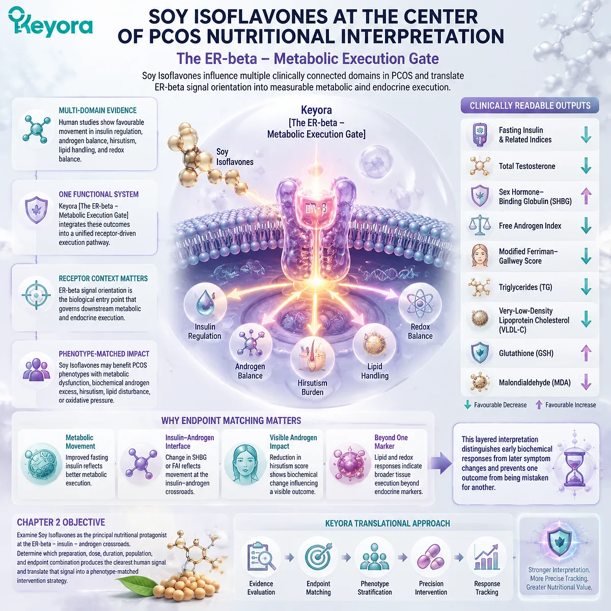 Soy isoflavones support PCOS metabolic wellness through ER-beta signaling, insulin-androgen pathway coordination, and redox balance, mapped by the Keyora ER-beta - Metabolic Execution Gate framework. Soy isoflavones support PCOS metabolic wellness through ER-beta signaling, insulin-androgen pathway coordination, and redox balance, mapped by the Keyora ER-beta - Metabolic Execution Gate framework.