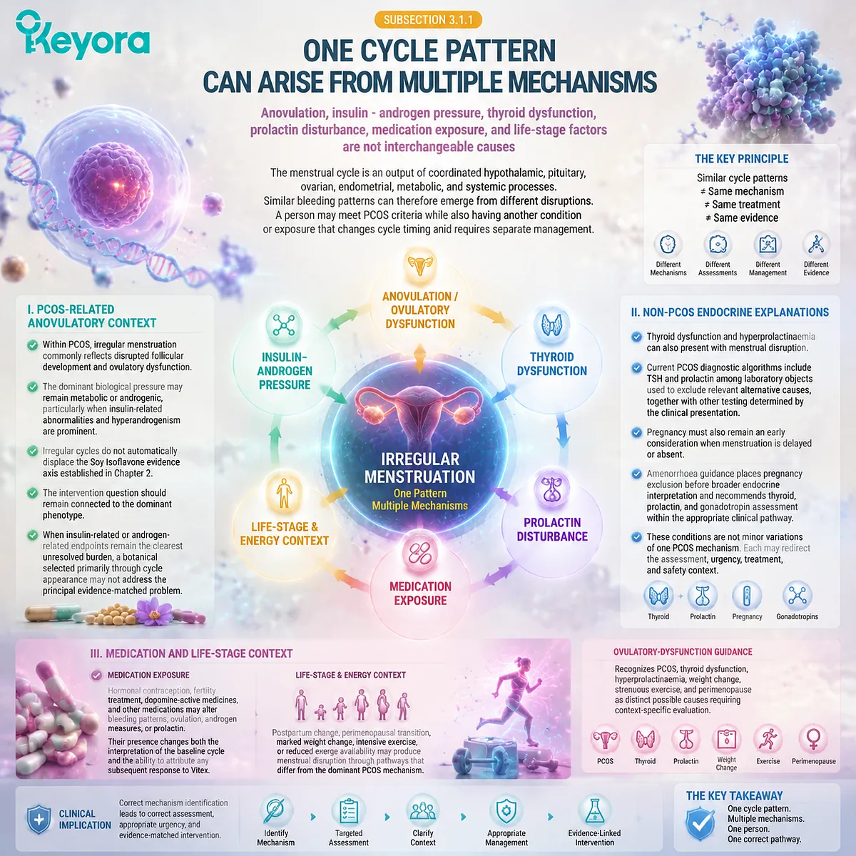 PCOS irregular cycles require differential interpretation of anovulation, insulin androgen pressure, thyroid, prolactin, and life-stage factors through the Keyora PCOS Neuroendocrine Feedback Gate. PCOS irregular cycles require differential interpretation of anovulation, insulin androgen pressure, thyroid, prolactin, and life-stage factors through the Keyora PCOS Neuroendocrine Feedback Gate.