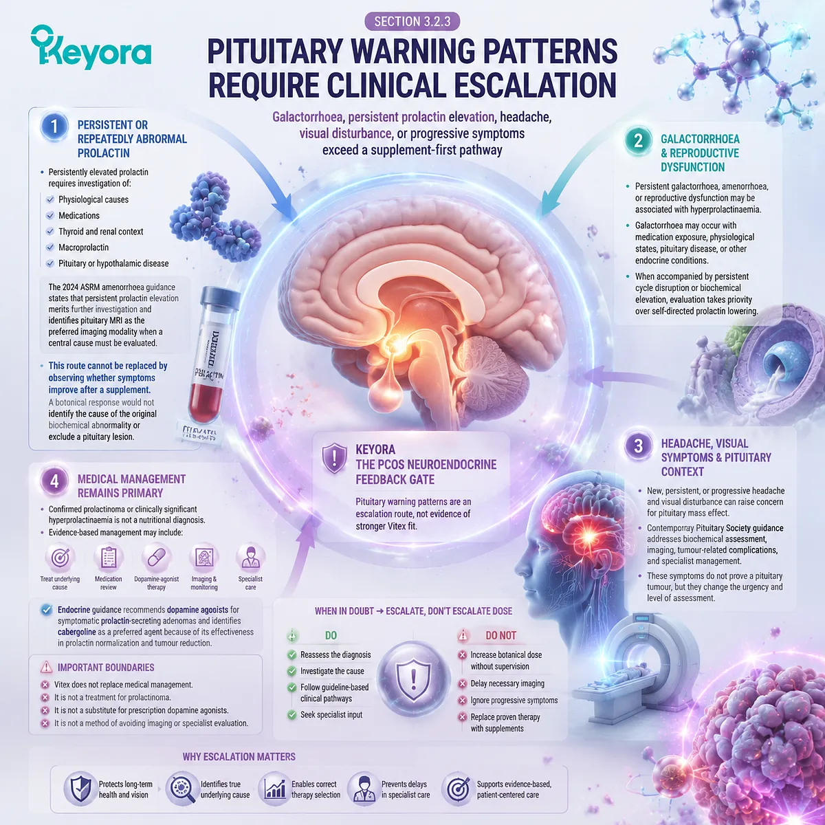 Vitex and PCOS require pituitary warning assessment for prolactin elevation, galactorrhoea, and endocrine escalation through the Keyora PCOS Neuroendocrine Feedback Gate. Vitex and PCOS require pituitary warning assessment for prolactin elevation, galactorrhoea, and endocrine escalation through the Keyora PCOS Neuroendocrine Feedback Gate.