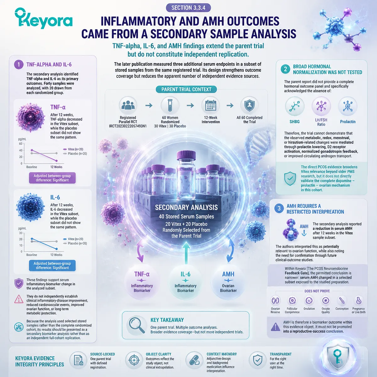 Vitex PCOS evidence includes inflammatory biomarkers and AMH interpretation limits, requiring secondary analysis context through the Keyora PCOS Neuroendocrine Feedback Gate. Vitex PCOS evidence includes inflammatory biomarkers and AMH interpretation limits, requiring secondary analysis context through the Keyora PCOS Neuroendocrine Feedback Gate.