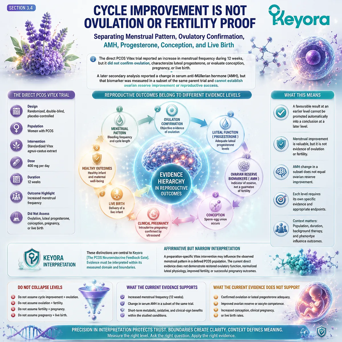 Vitex PCOS cycle outcomes require separation of menstrual frequency, ovulation, fertility, and AMH evidence through the Keyora PCOS Neuroendocrine Feedback Gate framework. Vitex PCOS cycle outcomes require separation of menstrual frequency, ovulation, fertility, and AMH evidence through the Keyora PCOS Neuroendocrine Feedback Gate framework.
