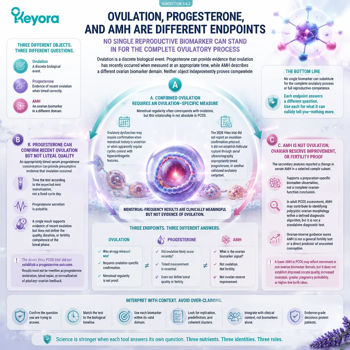 Vitex PCOS evidence separates ovulation, progesterone, AMH, and fertility endpoints through reproductive biomarkers within the Keyora PCOS Neuroendocrine Feedback Gate. Vitex PCOS evidence separates ovulation, progesterone, AMH, and fertility endpoints through reproductive biomarkers within the Keyora PCOS Neuroendocrine Feedback Gate.